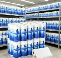 Rouleaux de papier essuie-tout de cuisine OEM 2 plis, hautement absorbants, biodégradables, gaufrés, écologiques, en pâte vierge