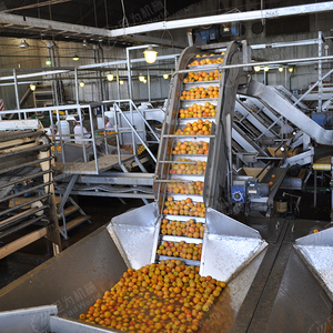 Leadworld – ligne de Production automatique de fruits, légumes, raisins, pêche jaune, fraise, fruits en conserve, haute précision - Product Image 1