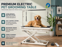 Table de Traitement Électrique EURVET pour Équipement Vétérinaire, Silencieuse, à Double Commande, Hauteur Réglable, Conception Ergonomique pour Toilettage d'Animaux