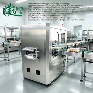 Máquina Integrada de Inspección de Huevos con Lectura de Etiquetas para Producción a Gran Escala de Empaque de Huevos - Product Image 4