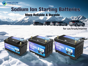 Sodium Ion <b>Battery</b> <b>12V</b> 100Ah 6000 <b>Cycles</b> Wide Temp Tolerance (-40C to 75C) CE Certified for Extreme Environments - Product Image 4
