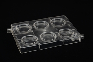 High Quality Custom Polycarbonate Eco-Friendly Durable Coins and Gold Tissue Chocolates Mold - Product Image 4