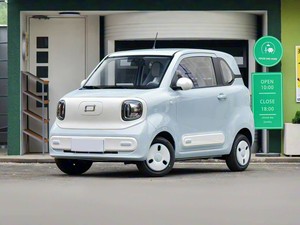 奔腾马灵龙马汽车纯电动汽车新能源车100公里/小时高速3门4座迷你车中国制造 - Product Image 5