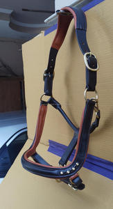 Qualité Exceptionnelle - Cuir de Vache Argentinien - Couture Traditionnelle à la Main - Harnais en Cuir pour Cheval de Polo - Product Image 3