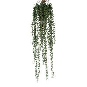 Guirlande de fleurs artificielles Beya, perles en plastique, 50 cm, plante succulente pour décorations de maison et de mariage - Product Image 5