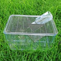 Kandang penangkaran tikus bak Tikus transparan