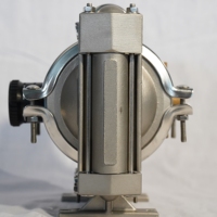 Bomba de Diafragma Neumática Original Wilden TZ1 de Metal de 13 mm y 60 LPM para Transferencia de Productos Químicos