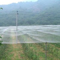 Filet anti-insectes en HDPE stabilisé aux UV pour serre agricole, maille 40-80, écologique pour potager