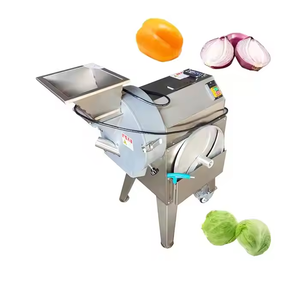 Hot Sale Stainless Steel Cheese Slicer Motorized Fruit & Vegetable Shredder & Vegetable Slicer for Fruit Processing Plant - Product Image 4