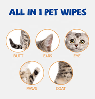 Lingettes Rafraîchissantes Mentholées Portables en Sachet Unique pour Chiens et Chats – Idéales pour l'Été