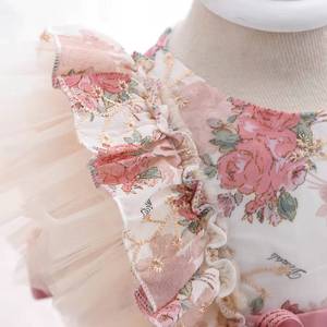 Robe Lolita pour bébé fille, en dentelle de chiffon de haute qualité, imprimé ange mignon, été - Product Image 4