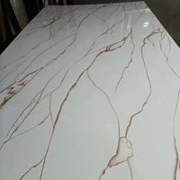 Apolloxy dekorasi siap kirim, harga rendah Pvc pelapis Panel dinding Pvc Panel dinding marmer I lembar marmer Panel dinding Pvc