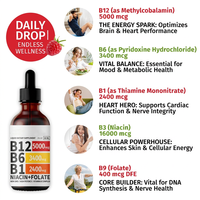 Gouttes liquides de vitamine B12 B6 de beauté pour adultes OEM 60ml Multivitamine stimulant le système immunitaire avec minéraux