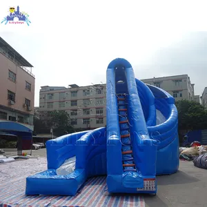 Lilytoys Thú Vị Inflatable Big Slide, Công Viên Nước Slide Với Hồ Bơi