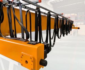 10 طن 20 طن DG رافعة علوية مع خطاف رئيسي وخطاف مساعد - Product Image 4