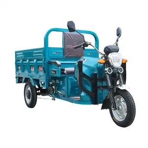 वयस्क इलेक्ट्रिक ट्राइसाइकिल ट्रक ट्राइक मोटरसाइकिल 1200W माल ढुलाई परिवहन
