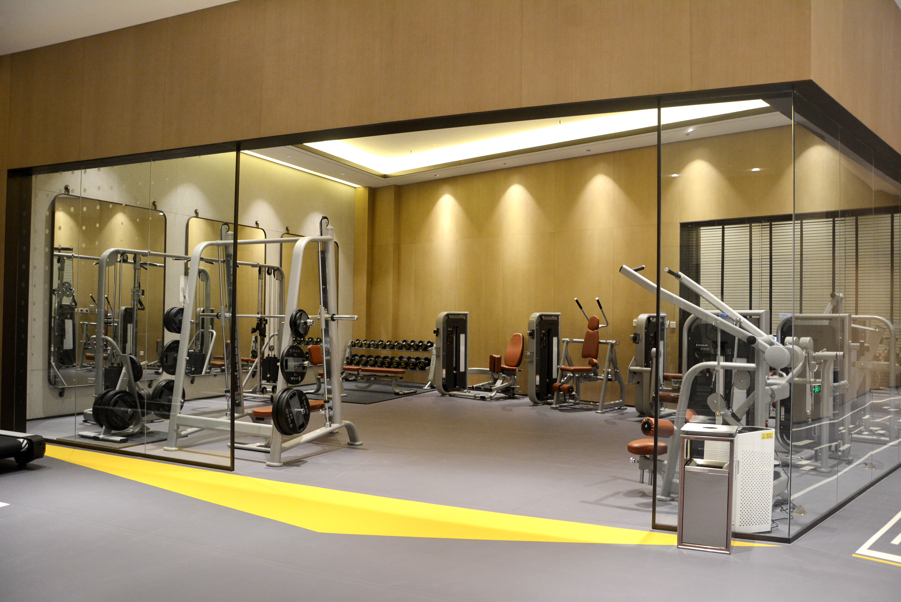 トレーニング器具 バックエクステンション（SHUA）