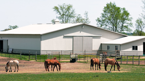 Stahlkonstruktion Pferdestall Fertigungsschuppen-Design - Product Image 3