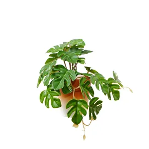 Bonsai artificial monstera plantas 19cm de altura, mini comprimido falso, plantas para decoração caseira