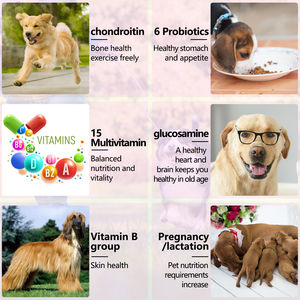Complément alimentaire multivitaminé pour animaux de compagnie 15 en 1, sous forme de bouchées molles, pour soutenir la santé des hanches et des articulations des chiens - Product Image 3