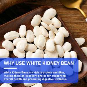 Hot Sale White Kidney Bean Gummies with White Kidney Bean Extract Appetite Supports Carb Control Way Supports Healthy Energy - Product Image 6