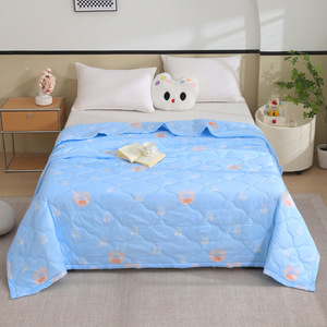 Bán Buôn Mùa Hè Comforter Bộ Làm Với Rửa Sạch Polyester Làm Đầy Điều Hòa Không Khí In Logo Kỷ niệm Với Một Nhà Sử Dụng Quà Tặng - Product Image 5