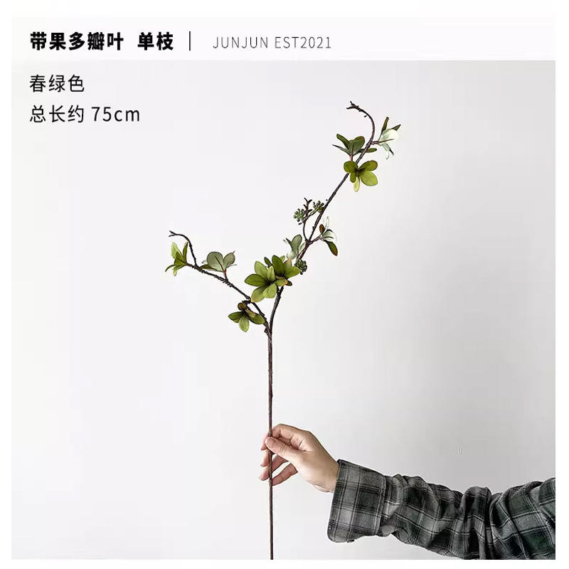 Feuilles multiples/vert