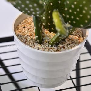 Tanaman pot buatan kaktus, hiasan rumah dan kantor, tanaman dalam pot buatan pir berduri, kaktus palsu mirip asli - Product Image 6