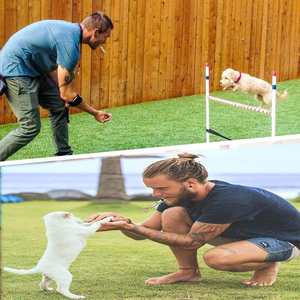 Silbato Ultrasónico de Metal para Perros, Silencioso, para Entrenamiento y Control de Ladridos, de Qbellpet - Product Image 6