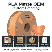 Filament PLA Mat Sting3d pour Imprimante 3D Filamentos 1.75mm 1kg Filamentos PLA Plus Filamento PLA arc-en-ciel Imprimantes 3D Plastique