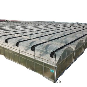 Serres agricoles monopente à grande couverture en polycarbonate pour la culture biologique de légumes et la pisciculture - Product Image 3