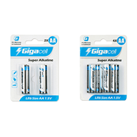 Baterías cilíndricas pequeñas alcalinas de tamaño AA de 1,5 V 2500mAh para instrumentos de cosmetología/juguetes educativos
