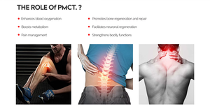 New Arrival ABS <strong>Magnetic</strong> <strong>Therapy</strong> <strong>Physiotherapy</strong> <strong>Equipment</strong> Increase Stamina Rehabilitation PMSTLOOP PRO MAX - Product Image 2