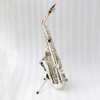 High Quality Nickel Plated Alto Saxophone Nice Price Performance with EB Tone