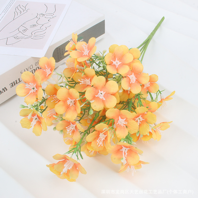 couleur orange