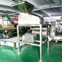 Ananasjam Maker Industriële Groente Mango Puree Passievrucht Machine Pulp Extractor Kersenpulper 1000kg/u 380V/220V/110V