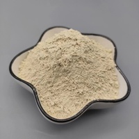 Bauxite calcinée de haute qualité 75% 80% 85% Poudre de bauxite à bas prix