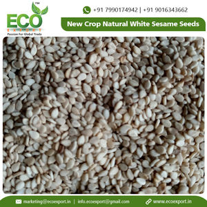 พืชใหม่ธรรมชาติเมล็ดงาสีขาวในราคาที่ต่ำที่มีการบรรจุในถุงที่แข็งแกร่งเมล็ดงาสีขาว - Product Image 6