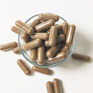 Vente en gros Capsules à base de plantes avec étiquetage blanc de marque privée 90 lions Mane Capsules 500mg - Product Image 1