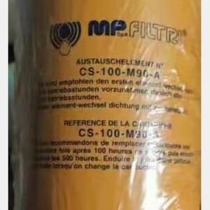 Filtro de Aceite Italiano Mp Emerald Lmp2102svf2a03np01, 99% de Eficiencia, Máquina de Filtración de Aceite por Presión - Product Image 3