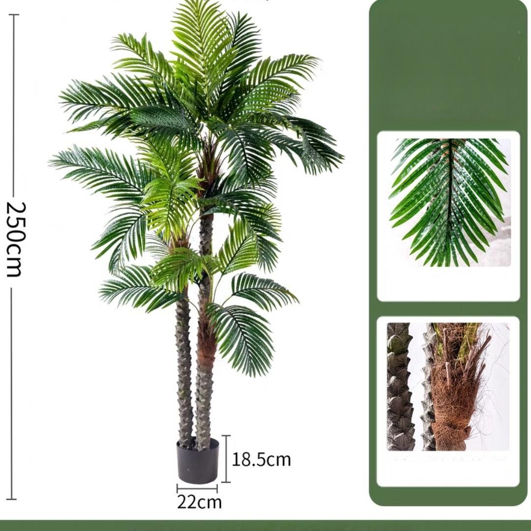 Palma verde da 2,5 metri