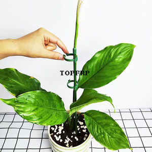 Fleurs Plantes Supports Piquets Clip Fixe Boucle Plastique Support Anneau - Product Image 5