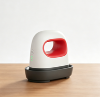 Presse à chaud miniature abordable, seulement 18 dollars pour un échantillon, idéale pour un usage personnel et les petites entreprises d'artisanat