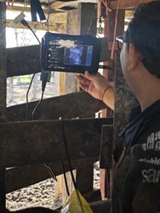 SUN-808F en ucuz vet el smartphone ultrason makinesi/tıbbi ekipman taşınabilir tam dijital ultrason - Product Image 6