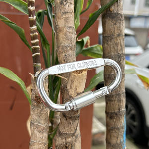 Llavero de mosquetón de escalada de aleación de aluminio al aire libre para mochilas, Camping senderismo - Product Image 6