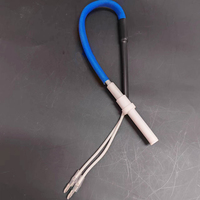 Pièces de rechange d'allumeur de tige chaude en céramique 12V pour grille de montagne verte