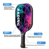 Ensemble de raquettes de pickleball en bois avec logo personnalisé OEM, pour adultes et enfants, légères, poignée antidérapante, pour l'extérieur, directement de l'usine, en stock