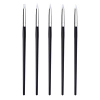 TSZS Kit de Pinceaux de Manucure Professionnel pour Nail Art – Gel UV, Peinture Cristal, Liner, Pinceau Éventail, Stylo à Points en Silicone – Outils de Salon