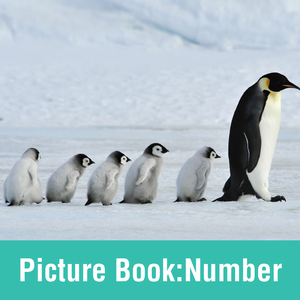 Ilustración Matemáticas Material didáctico Geometría sensorial para niños Juguetes <span class=keywords><strong>de</strong></span> Aprendizaje Temprano Reconocimiento <span class=keywords><strong>de</strong></span> números Tarjetas Montessori Juego <span class=keywords><strong>de</strong></span> matemáticas - Product Image 3