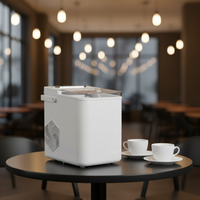 Machine à glaçons électrique portable de comptoir 12 kg/24h, autonettoyante, en forme de balle, en plastique, pour usage hôtelier, compatible bouteille, domestique et extérieur